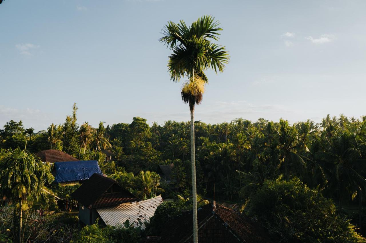 Villa Gading 2 Ubud Eksteriør billede